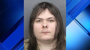 Weston man shared child sex abuse videos, memes that 'promoted pedophilia,'  cops say