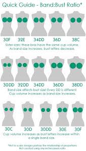 Bra Cup Size Comparison To Fruit Boob Shape Chart Bra Fruit