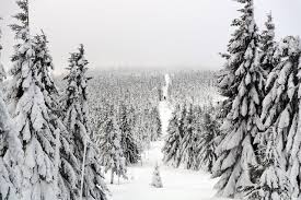 La voiture glissait et valsait dans les rues, mais le chauffeur ne semblait pas avoir peur. Tendance Meteo Pour Fevrier 2021 Vers Un Risque De Vague De Froid