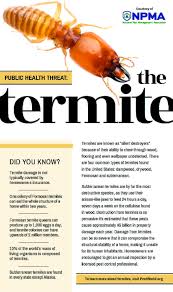 A1 Exterminators And The Npma Would Like To Share Information On The Health Risks Of Termites For More Termite Control Termite Control Termites Termite Damage