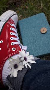 pin by نـوراليـزا on صور خلفيات girly shoes girly pictures cartoon bunny