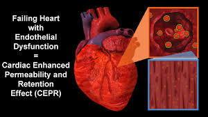 El partido del polémico gobernador ulises ruiz gana las elecciones tras las revueltas registradas en ese estado del sur de méxico. Guillermo U Ruiz Esparza Md Phd