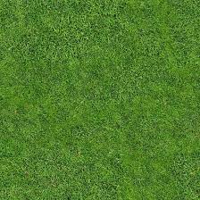 Joseph Daniel Pontarelli (josephdanielpontarelli)