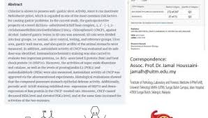 Timbalan naib canselor (akademik dan antarabangsa) 2. Pejabat Timbalan Naib Canselor Penyelidikan Dan Inovasi Uitm News Hub