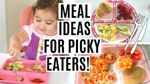 When do toddlers become picky eaters? What My Toddler Eats In A Day Toddler Meal Ideas For Picky Eaters Youtube