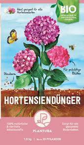 Hortensien sollten bei der pflanzung im frühjahr oder herbst sauer eingepflanzt und gedüngt werden. Hortensien Dungen Tipps Zu Zeitpunkt Vorgehen Plantura