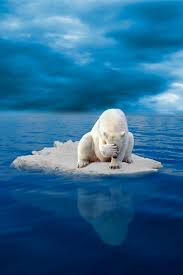 This And Everything Else Animals Cute Animals Animals Beautiful
