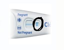Clear Blue Pregnancy Test Not Showing Anything Pregnancy Test Work