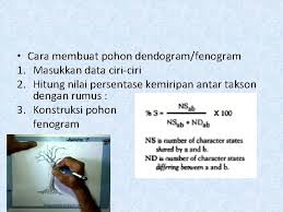 Contoh cv lamaran kerja berikut dapat membantu membuat curriculum vitae yang menarik, disertai dengan contoh dalam berbagai bidang keahlian. Deskripsi Kunci Identifikasi Dan Dendogram By Mugi Mumpuni