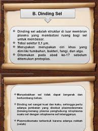 Pada dinding sel sekunder dapat ditemukan di. Dinding Sel