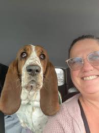 A gift from my daughter along side a photo of one of my bassets, Stella.