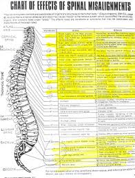 59 Correct Merrick Chart Spine
