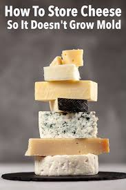 How To Store Cheese So It Doesn T Grow Mold Cheese Store Cheese Food
