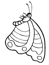 Download Butterfly 10 Animals Coloring Pages Coloring Book Coloring Home