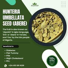 Image result for Hunteria