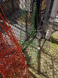 Orange And Green Tomato Cages At Home Depot 42 Tomato Cages Green Green Tomatoes