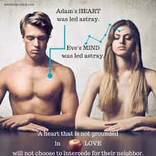 We did not find results for: Deconstructing The Sin Of Adam Deidre Havrelock