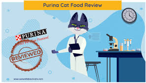 Purina is one of the largest and oldest companies in the cat food industry. Unbiased Purina Cat Food Review 2021 We Re All About Cats