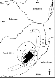 Image result for Agrocharis pedunculata