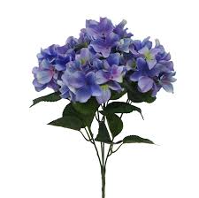 Lavender and hydrangeas are very different plants with different needs. Hydrangea Bush Lavender The Magic Yarn Project