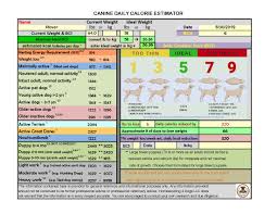 What is in most dog food today? Dog Food 101 How To Choose Homeskooling 4 Dogs