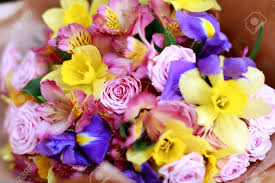 Maybe you would like to learn more about one of these? Spring Bouquet Of Bright Pink Yellow Violet And Purple Flowers Close Up Horizontal Picture Stock Photo Picture And Royalty Free Image Image 39425690