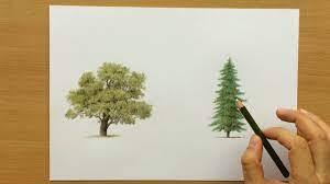 Here's a colored pencil drawing of a couple of trees. How To Draw Trees With Colored Pencils Drawing Tutorial Youtube