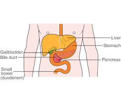Skin cancer is by far the most common type of cancer. Jaundice Macmillan Cancer Support