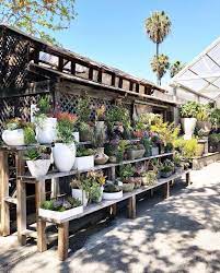 24 Plant Shops That Will Attract Any Plant Lover Dalla Vita Garden Center Displays Plant Shelves Outdoor Plants