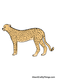 Draw small circles, irregular ovals or spots that are evenly spaced from each other. Cheetah Drawing How To Draw A Cheetah Step By Step