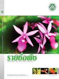 Image result for Ascolepis pusilla