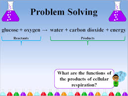 Aerobic respiration requires oxygen (o2) in order to create atp. What Are The Reactants And Products Of Cellular Respiration Overall