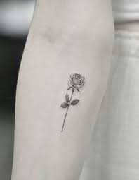 Pin On Tatu
