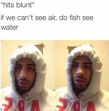 I gotta question blunt hits ball is life blunt hits about eboli blunt hits instagram post blunt hits funny quotes blunt hits twitter quotes. Hits Blunt