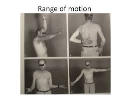 Image result for Shoulder Range of Motion