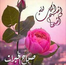احلى صباح للحبيب اغلي واحلي صور صباحية للحبيب صباحيات good morning flowers flowers rose