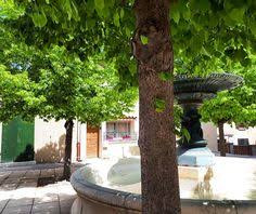 La Fontaine Au Centre De La Place Ange Esteve A Cabries Fut Construite Par Un Chantier Naval Et Achetee En 1884 A La Ville Port De B Cabries Tree Tree Trunk