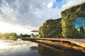 The cost of services provided: Liko Noe Liko S Archello