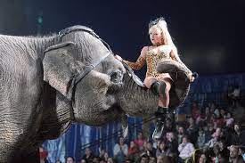 There _____ a lot of funny animals there. Garden Brothers Circus To Perform In Florence Local News Scnow Com