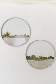 pin by interieur inspiratie on huis binnen air plant wall vertical garden planters air plants