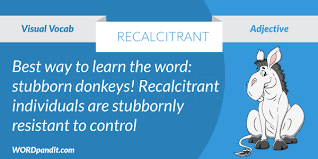 (of a person) unwilling to obey orders or to do what should be done, or (of an animal) refusing…. Meaning Of Recalcitrant