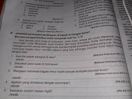 Kali ini gua mendapat kesempatan untuk melihat proses kuda kawin di suharno stable. Tolong Bantuya Kakak Yg Ganteng Dan Cantik Plissssss Brainly Co Id