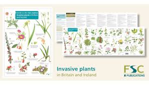 This New Guide Should Help Our Volunteers Spot Some Of The