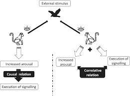 Develop skill around your body language habits, especially tone of voice. Intentional Communication Solving Methodological Issues To Assigning First Order Intentional Signalling Ben Mocha Biological Reviews Wiley Online Library