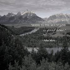 Going To The Mountains Is Going Home John Muir Wilderness Quotes Mountain Quotes Hiking Quotes