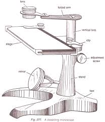 Maybe you would like to learn more about one of these? Parts Of Dissecting Microscope Botany