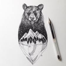 Mille et un squats dans la maison pour les insectes. Les Dessins De Nature Melee De Alfred Basha Dessein De Dessin