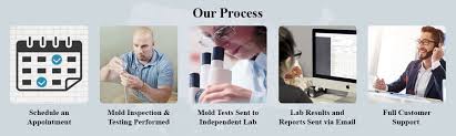 Read honest and unbiased product reviews from our users. Mold Inspection Mold Testing