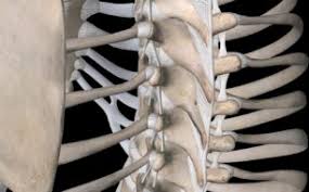 An injury to the left rib cage can give rise to severe pain in under the ribs, particularly when the. Rib Pain Covid 19 Coronavirus Witty Pask Buckingham