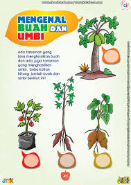 Pin Di Ebookanak Com